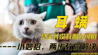 耳螨，其实并没有那么可怕！小妙招：两步教你解决耳螨！ [upl. by Notsag562]