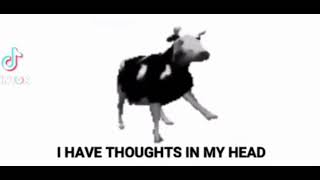 Polish Cow Song English Lyrics [upl. by Amsirp]