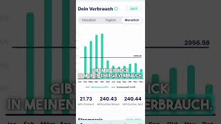 Spare mit Ostroms dynamischem Tarif amp Smart Meter SmartMeter OstromTarif [upl. by Son70]