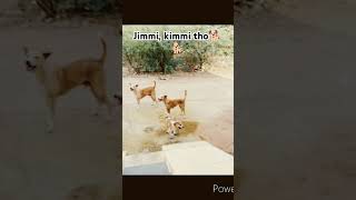 Mana iddari madhyalo song telugu music mayalodu movie🎥 🐕🐕 [upl. by Aitra]