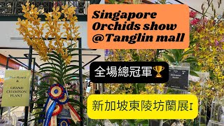 新加坡東陵坊的蘭展 Singapore Orchids show at Tanglin mall Part 1 orchid 蘭花 anggrek orchids orchidshow [upl. by Ettenotna]