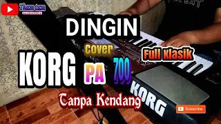 DINGIN KARAOKE Cover TANPA KENDANG [upl. by Auginahs]