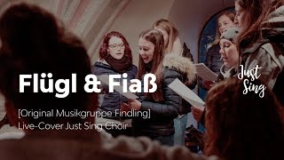 Flügl und Fiaß  Original Findling  LiveCover Just Sing Chor [upl. by Ninetta]