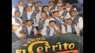 Necesito decirte  Banda El Cerrito [upl. by Eachern]