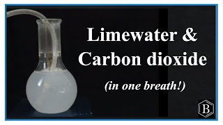 Testing for CO2 Carbon dioxide with Limewater [upl. by Ethbun]