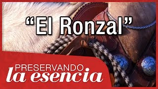 El Ronzal ramal o cabestro usos nudos etc Montura charra [upl. by Ddot298]