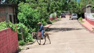 Conociendo un poquito a Arroyo Grande [upl. by Euqinamod]