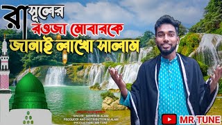 রাসূলের রওযা মোবারকে জানাই লাখো সালাম  Rasuler Rauja Mubaroke  Mehebub Alam  Mr Tune [upl. by Oscar]