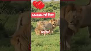 Mobile kho gya 🤣🤣funnyvideos funny funnyanimls funnyshorts funnymemes funnycomedy funnyclips [upl. by Monney]