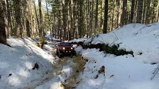 Oregon  Tillamook State Forest  March 2024 [upl. by Leanard429]