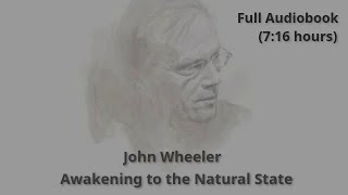 Awakening to the Natural State by John Wheeler Full Audiobook [upl. by Eidnew541]