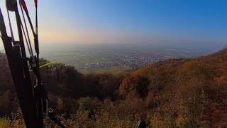 Paragliding Ölberg Schriesheim  herbstlicher Sonnenschein 09112024 [upl. by Blandina112]