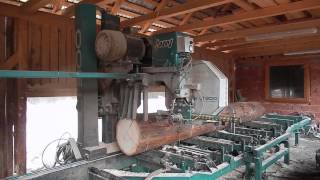 First Wood Mizer WM4000 Industrial sawmill in Romania [upl. by Alodee]