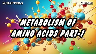 Chapter  3  Metabolism Of Amino Acids Part1  Hindi [upl. by Tonry565]