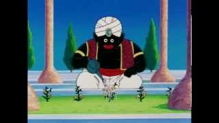 TFS DBZ Abridged  Garlic Jr meets Mr Popo [upl. by Imoin]