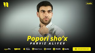 Parviz Aliyev  Popuri shox audio [upl. by Artimed]