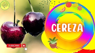 ☝Como se Germina la SEMILLA DE CEREZA 🍒 🍒 Cerasus [upl. by Eoz914]