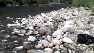 Prospecting For Gold On The Middle Fork of the American River at Mammoth Bar [upl. by Lebasy]