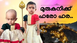 പഴനിമല ആണ്ടവന് മുടി സമർപ്പിച്ച് ധ്വനികൃഷ്ണ  MRIDVA [upl. by Fablan]