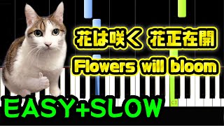 花は咲くHana wa Saku Flowers will bloom  Piano Tutorial EASY SLOW  Free Sheet Music PDF [upl. by Ymerrej375]