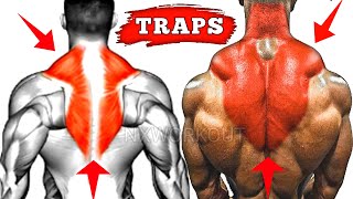 Top 5 Traps Workout At Gym  Traps Workout  Traps Exercises [upl. by Hawger864]