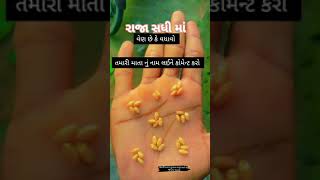 Sadhi shikotar maa stetsa NYU gujrati story nitin kolvada aalap divali na stetsa NYU gujrati [upl. by Lac]