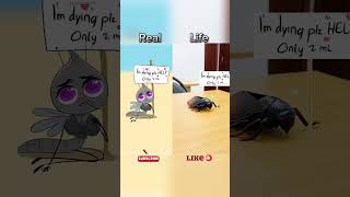 POV SAVING MOSQUITO video parody of drawforfunyt robloxedit roblox memes funny [upl. by Eizeerb]