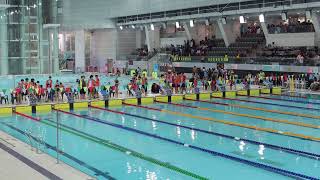 20242025 HK Div 3 Inter school Grade C Girl 4x50M FreeStyle [upl. by Tiffanle]