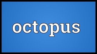 Octopus Meaning [upl. by Judi]