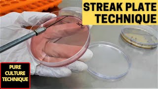 Streak Plate Technique for The Isolation of Pure CultureA Complete Procedure Microbiology [upl. by Anihsit]