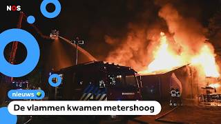 Brand in Beekse Bergen dieren niet in gevaar [upl. by Alehtse]