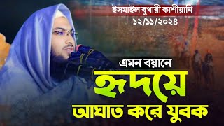 এমন বায়ানে হৃদয়ে আঘাত করে  ইসমাইল বুখারী কাশীয়ানি  Ismail bokhari new waz 2024 [upl. by Lang497]