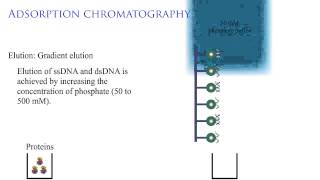 Adsorption chromatography 2 [upl. by Eah]