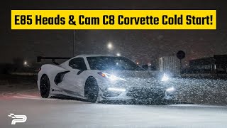 Paragon E85 Heads amp Cam C8 Corvette Winter Cold Start [upl. by Annaerda]