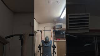 Day 10 of Weighted PullUps So Close to 8 Reps 💪 Almost There strengthjourney pullups [upl. by Eelan842]