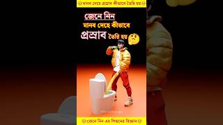 মানব দেহে প্রস্রাব কীভাবে তৈরি হয় facts knowledge [upl. by Enirbas]