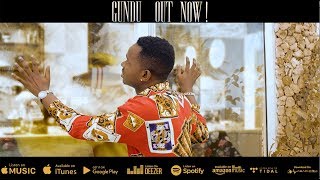 Lava Lava  Gundu Official Music Video [upl. by Pancho]