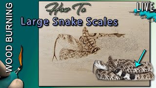 Pyrography How to Wood Burning a Snake  Large Scales [upl. by Rannug]