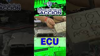 🔥PRINCIPIOS DE BANQUEO DE COMPUTADORAS AUTOMOTRIZ ECU [upl. by Enirual331]