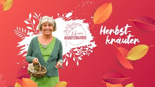 Neue Staffel Kleine Kräuterkunde mit Ruth Pfennighaus [upl. by Einnil614]