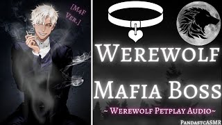 M4F🐺😈Werewolf Mob Boss Makes You His Pet😈🐺Petplay Werewolf Transformation [upl. by Ellehcin]