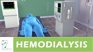 Hemodialysis [upl. by Ynnad432]