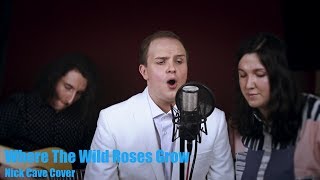 LIVE Where The Wild Roses Grow  Contralto and Countertenor Acoustic Cover [upl. by Eybba359]