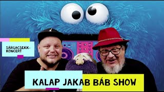 Kalap Jakab  SárgaCsekkKoncert NKA [upl. by Barabbas]