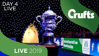 Day 4 LIVE  Crufts 2019 [upl. by Anerehs]