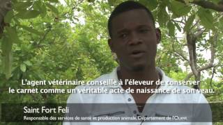 Pourquoi estil important d’identifier les vaches en Haïti [upl. by Auqenet]