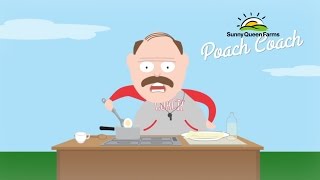 Learn how to poach an egg with the Poach Coach [upl. by Gnouv]