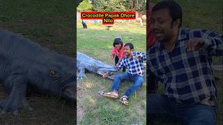 Crocodile🐊Papak Dhore💥Nilo😱🤣 shorts funnyvideo comedy trishikarimpa [upl. by Wehttan]