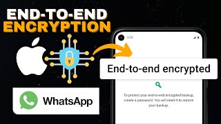 What Is quotWhatsApp Messages And Calls Are Endtoend Encryptedquot [upl. by Wexler]