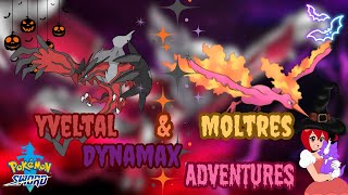 🔴LIVE  Half Odds Moltres and Yveltal Dynamax Adventures  Pokemon Sword  shorts [upl. by Nyrb]